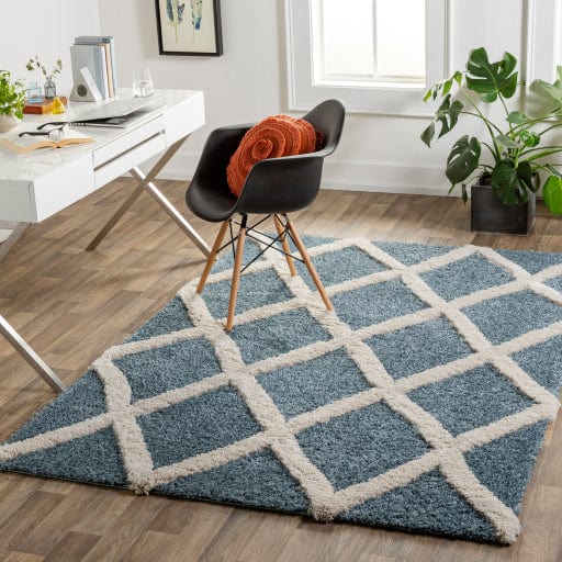 Hudson Shag HDS-2301 Rug