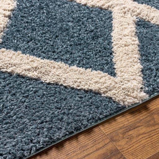 Hudson Shag HDS-2301 Rug