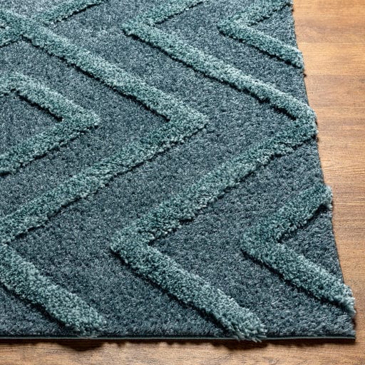 Hudson Shag HDS-2302 Rug