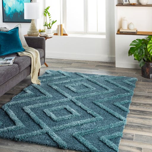 Hudson Shag HDS-2302 Rug