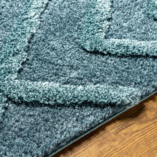 Hudson Shag HDS-2302 Rug