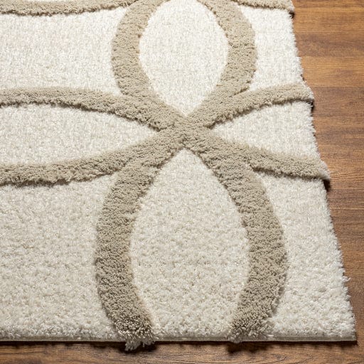 Hudson Shag HDS-2303 Rug