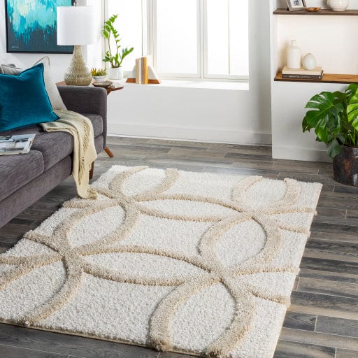 Hudson Shag HDS-2303 Rug