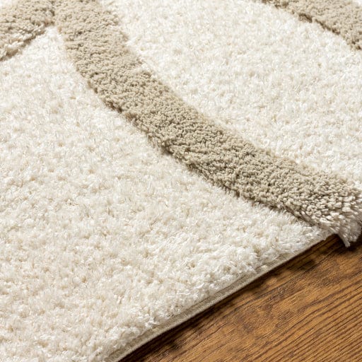 Hudson Shag HDS-2303 Rug