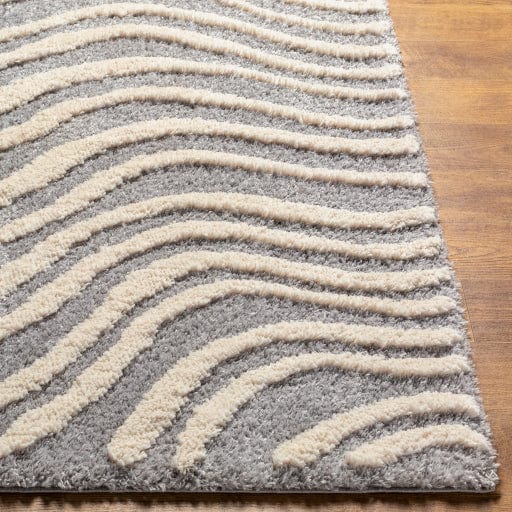 Hudson Shag HDS-2307 Rug