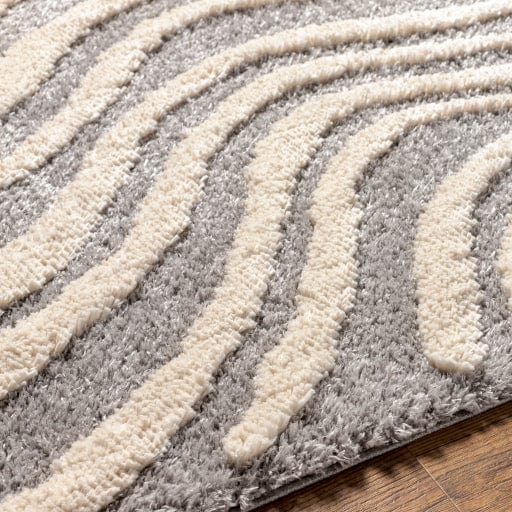 Hudson Shag HDS-2307 Rug