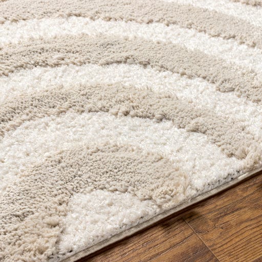 Hudson Shag HDS-2308 Rug