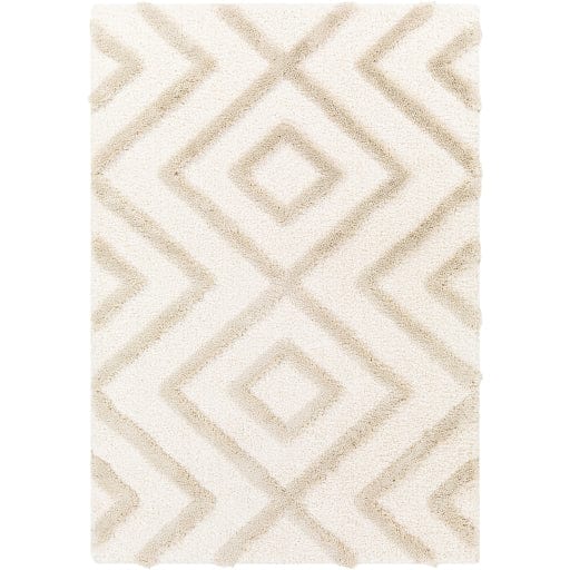 Hudson Shag HDS-2309 Rug