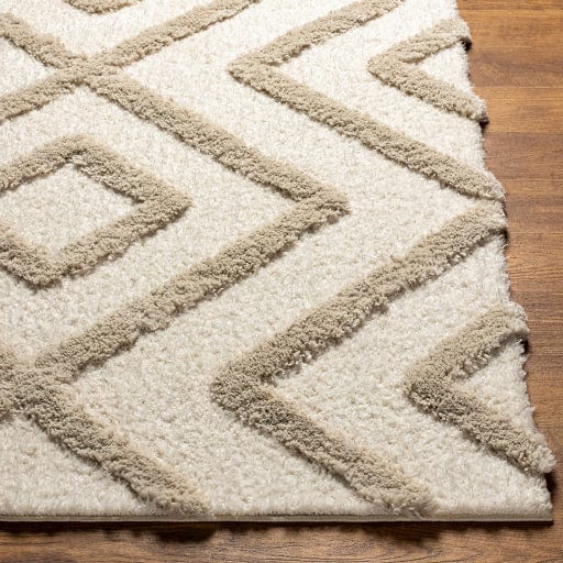 Hudson Shag HDS-2309 Rug