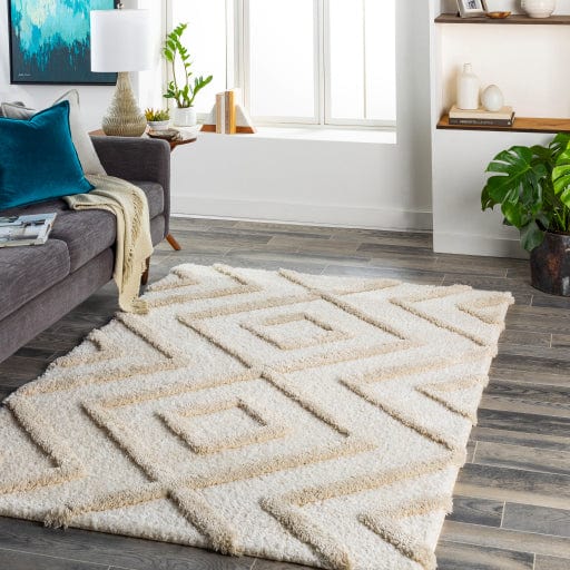 Hudson Shag HDS-2309 Rug