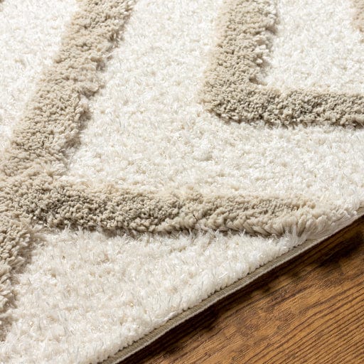 Hudson Shag HDS-2309 Rug