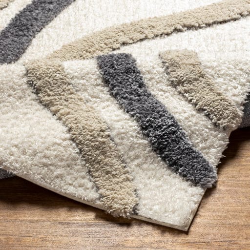 Hudson Shag HDS-2313 Rug