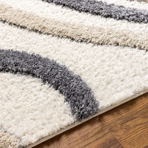 Hudson Shag HDS-2313 Rug