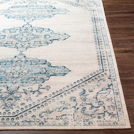 Huntington Beach HTB-2317 Rug