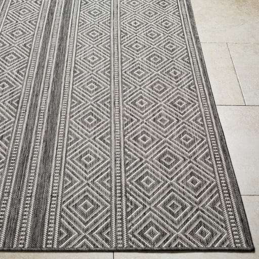 Long Beach LBH-2302 Rug