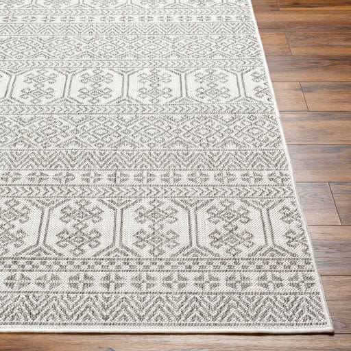 Long Beach LBH-2305 Rug