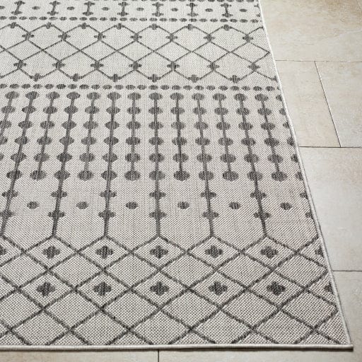 Long Beach LBH-2329 Rug