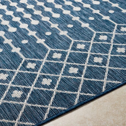 Long Beach LBH-2331 Rug