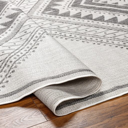 Long Beach LBH-2338 Rug