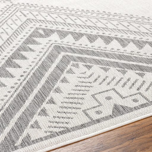 Long Beach LBH-2338 Rug