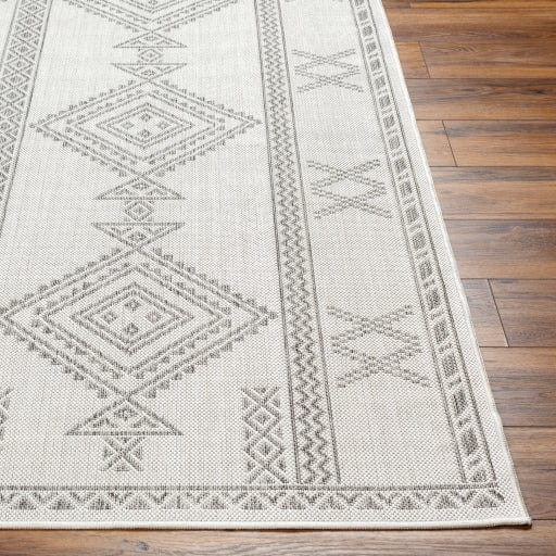 Long Beach LBH-2341 Rug