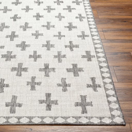 Long Beach LBH-2361 Rug