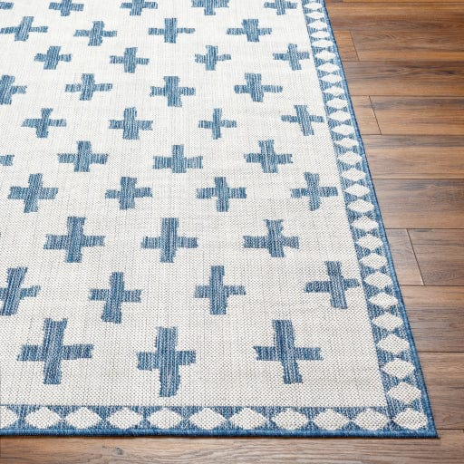 Long Beach LBH-2362 Rug