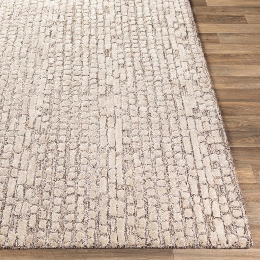 Montclair MTC-2304 Rug