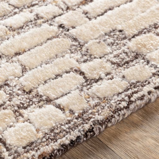 Montclair MTC-2304 Rug