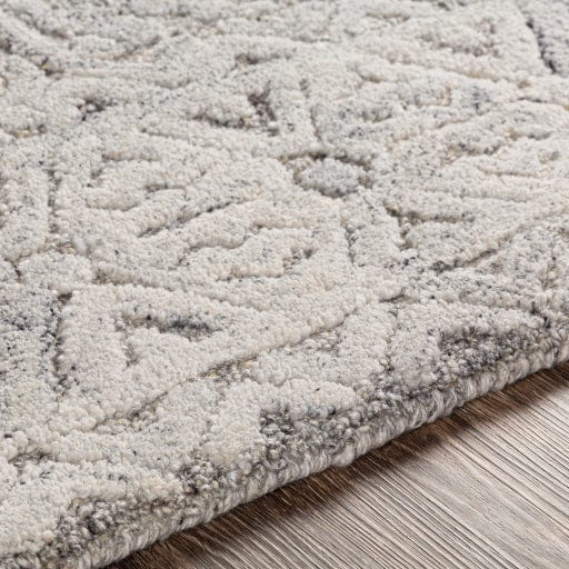 Montclair MTC-2310 Rug