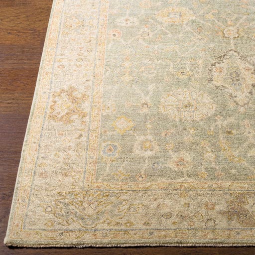 Normandy NOY-8009 Rug