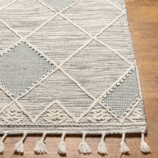 Norwood NWD-2307 Rug