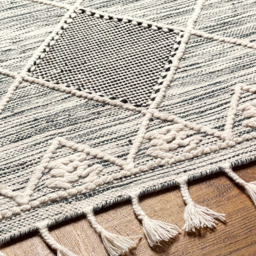 Norwood NWD-2308 Rug