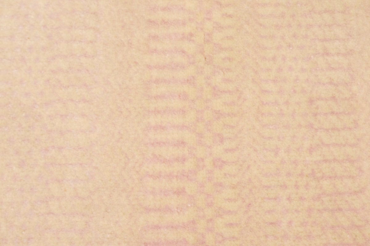 Pale Pink Grass Design 2X3 Modern Oriental Rug