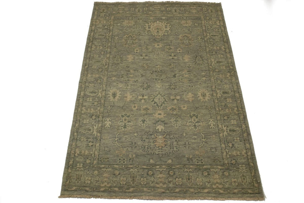 Transitional Floral 5X8 Oriental Rug
