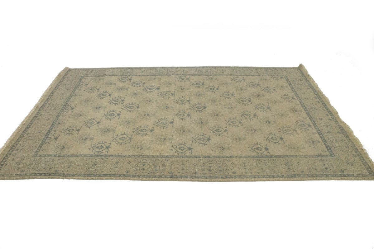 Allover Floral Transitional 6X9 Oriental Rug