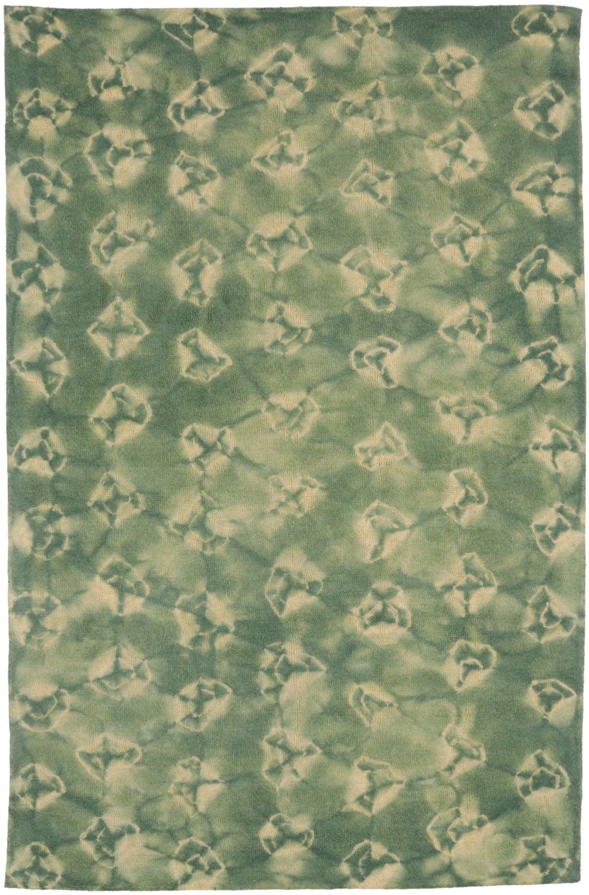 Green Tie-Dye 5X8 Hand-Tufted Modern Rug