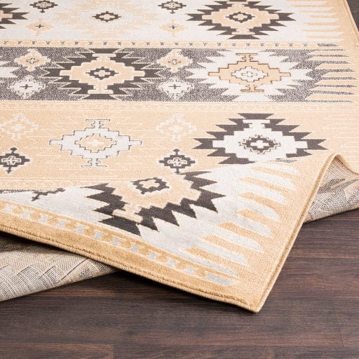 Paramount PAR-1045 Rug