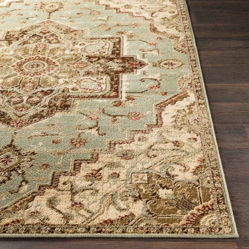 Paramount PAR-1080 Rug