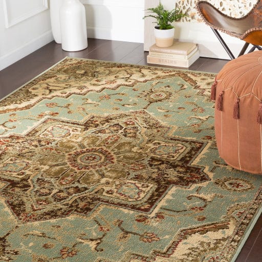 Paramount PAR-1080 Rug