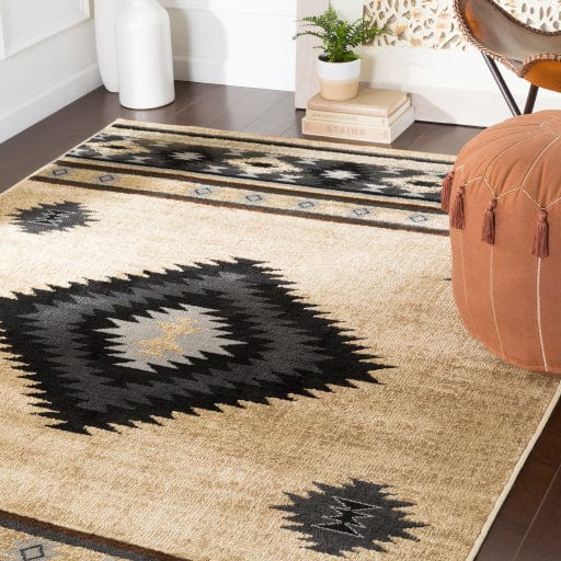 Paramount PAR-1096 Rug