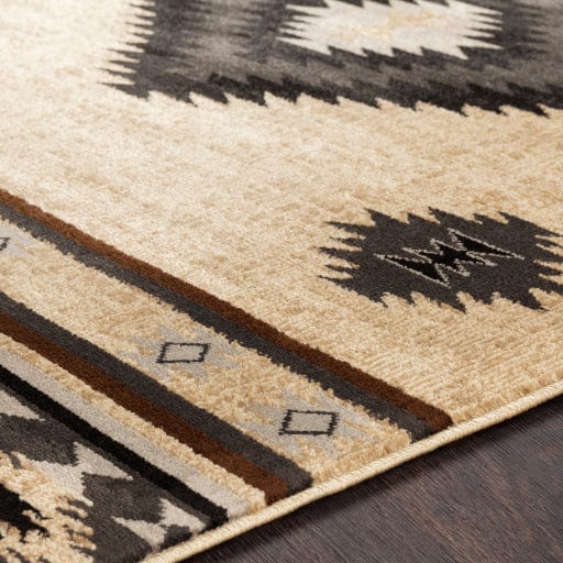 Paramount PAR-1096 Rug