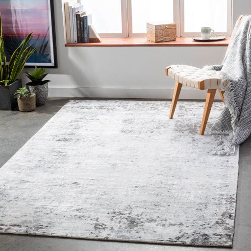 Park Avenue PAV-2301 Rug