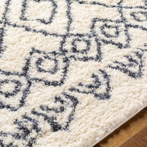 Puffy Shag PFY-2301 Rug