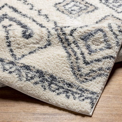 Puffy Shag PFY-2302 Rug