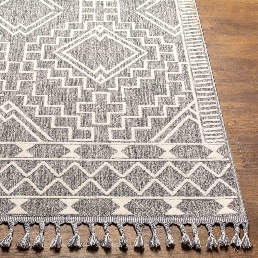 Palermo PLR-2304 Rug