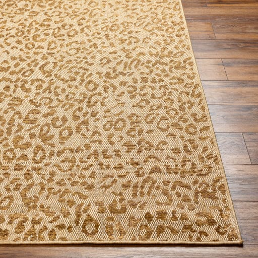 Pismo Beach PMB-2300 Rug