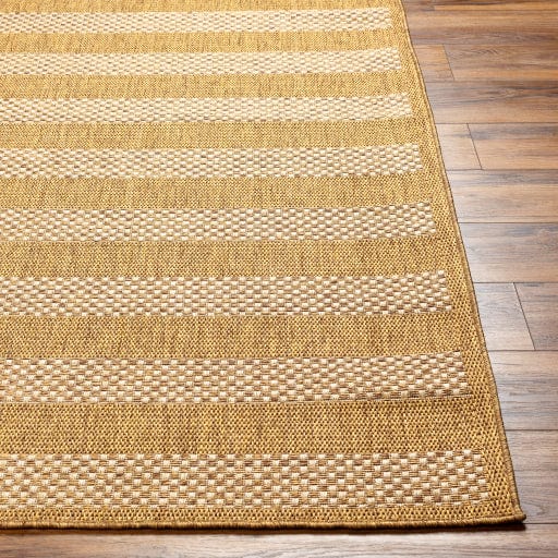 Pismo Beach PMB-2302 Rug