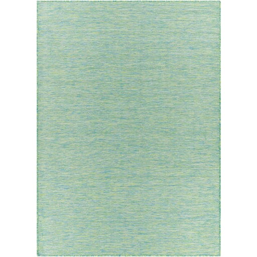 Pasadena PSA-2306 Rug