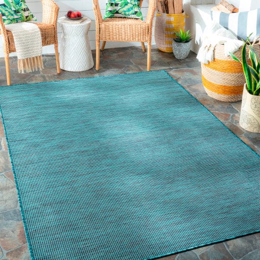 Pasadena PSA-2312 Rug